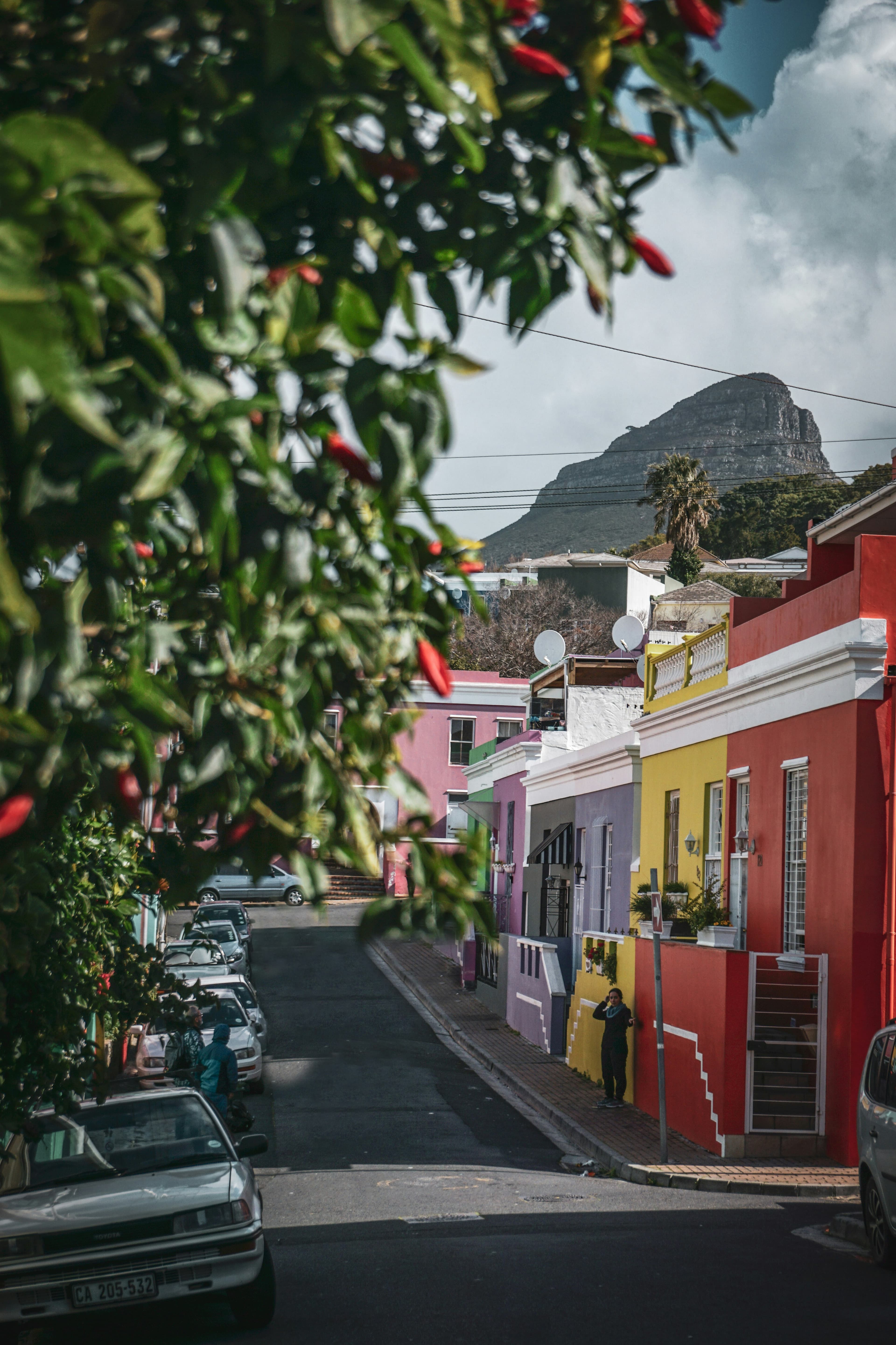 Cape Town Explorer